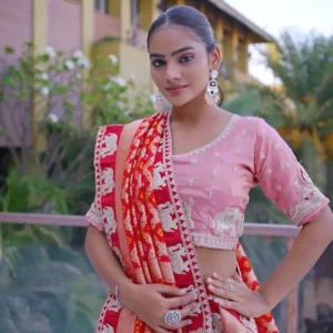 Blush Pink Viscose Lehenga with Red Banarasi Elephant Motif Dupatta